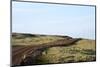 Route 612, Patreksfjšrdur, Westfjords, West Iceland-Julia Wellner-Mounted Photographic Print