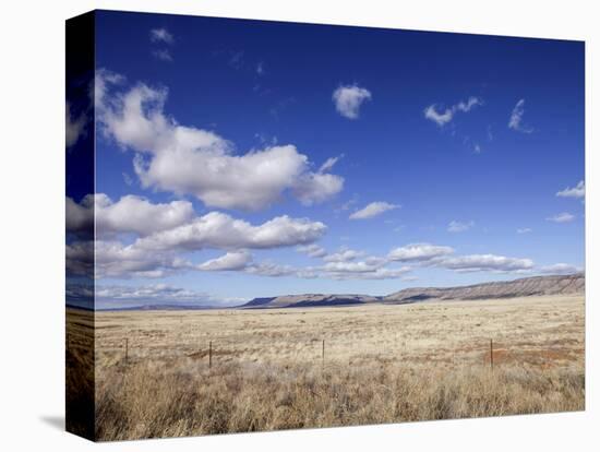 Route 66, Arizona, USA-Julian McRoberts-Stretched Canvas