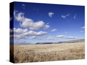 Route 66, Arizona, USA-Julian McRoberts-Stretched Canvas