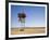 Route 66, Arnoby, California-Christian Reister-Framed Art Print