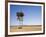 Route 66, Arnoby, California-Christian Reister-Framed Art Print