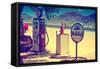 Route 66 - Gas Station - Arizona - United States-Philippe Hugonnard-Framed Stretched Canvas