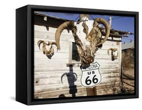 Route 66, Hackberry, Arizona, USA-Julian McRoberts-Framed Stretched Canvas