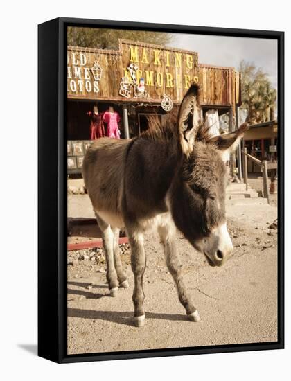 Route 66, Oatman, Arizona, USA-Julian McRoberts-Framed Stretched Canvas