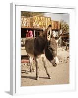 Route 66, Oatman, Arizona, USA-Julian McRoberts-Framed Premium Photographic Print