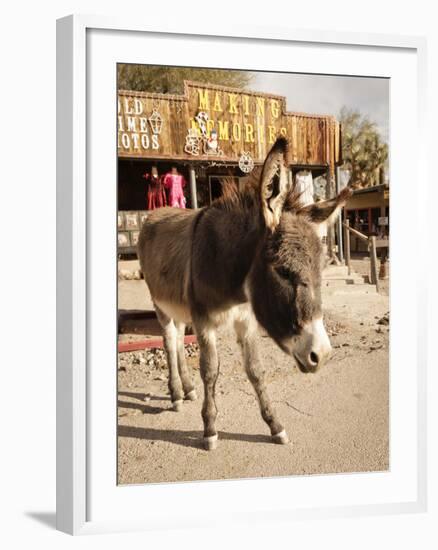 Route 66, Oatman, Arizona, USA-Julian McRoberts-Framed Premium Photographic Print