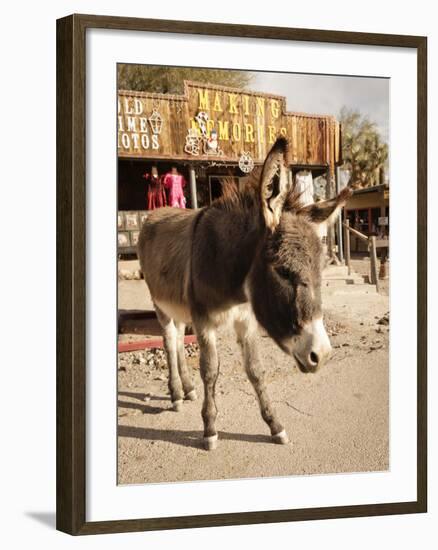 Route 66, Oatman, Arizona, USA-Julian McRoberts-Framed Premium Photographic Print