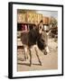 Route 66, Oatman, Arizona, USA-Julian McRoberts-Framed Premium Photographic Print