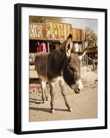 Route 66, Oatman, Arizona, USA-Julian McRoberts-Framed Photographic Print