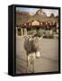 Route 66, Oatman, Arizona, USA-Julian McRoberts-Framed Stretched Canvas