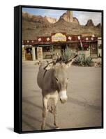 Route 66, Oatman, Arizona, USA-Julian McRoberts-Framed Stretched Canvas