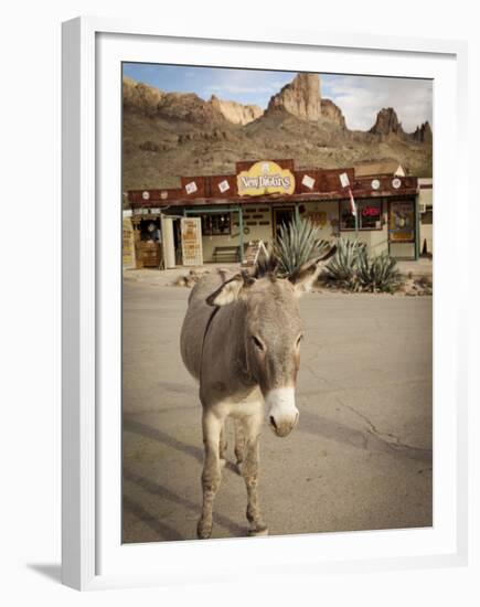 Route 66, Oatman, Arizona, USA-Julian McRoberts-Framed Premium Photographic Print