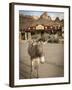 Route 66, Oatman, Arizona, USA-Julian McRoberts-Framed Premium Photographic Print