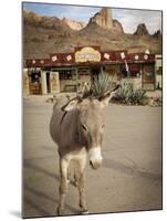 Route 66, Oatman, Arizona, USA-Julian McRoberts-Mounted Premium Photographic Print