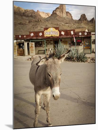 Route 66, Oatman, Arizona, USA-Julian McRoberts-Mounted Premium Photographic Print