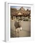 Route 66, Oatman, Arizona, USA-Julian McRoberts-Framed Photographic Print