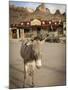 Route 66, Oatman, Arizona, USA-Julian McRoberts-Mounted Photographic Print