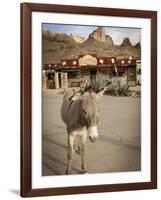 Route 66, Oatman, Arizona, USA-Julian McRoberts-Framed Photographic Print