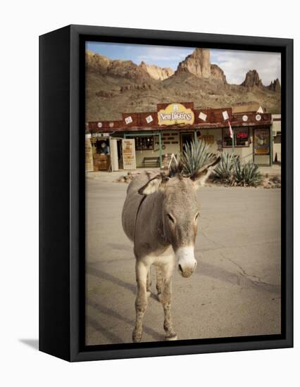 Route 66, Oatman, Arizona, USA-Julian McRoberts-Framed Stretched Canvas