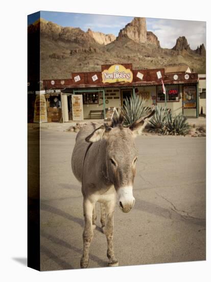 Route 66, Oatman, Arizona, USA-Julian McRoberts-Stretched Canvas