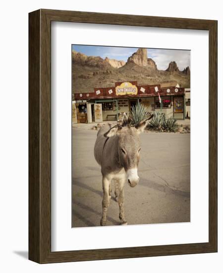 Route 66, Oatman, Arizona, USA-Julian McRoberts-Framed Photographic Print