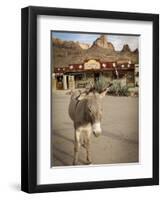 Route 66, Oatman, Arizona, USA-Julian McRoberts-Framed Photographic Print