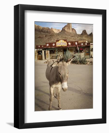 Route 66, Oatman, Arizona, USA-Julian McRoberts-Framed Photographic Print