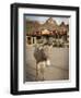 Route 66, Oatman, Arizona, USA-Julian McRoberts-Framed Photographic Print