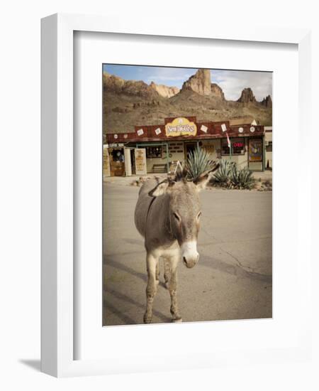 Route 66, Oatman, Arizona, USA-Julian McRoberts-Framed Photographic Print