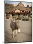 Route 66, Oatman, Arizona, USA-Julian McRoberts-Mounted Photographic Print