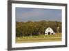 Route 66 Rock of Ages Farm, Arcadia, Oklahoma, USA-Walter Bibikow-Framed Photographic Print