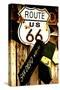 Route 66 - sign - Arizona - United States-Philippe Hugonnard-Stretched Canvas