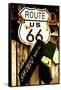 Route 66 - sign - Arizona - United States-Philippe Hugonnard-Framed Stretched Canvas