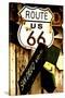 Route 66 - sign - Arizona - United States-Philippe Hugonnard-Stretched Canvas