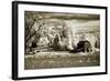 Route 96-Alan Hausenflock-Framed Photographic Print