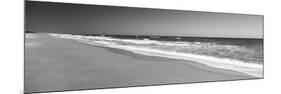 Route A1A, Atlantic Ocean, Flagler Beach, Florida, USA-null-Mounted Premium Photographic Print