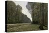 Route Du Bas-Breau-Claude Monet-Stretched Canvas