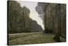 Route Du Bas-Breau-Claude Monet-Stretched Canvas