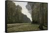 Route Du Bas-Breau-Claude Monet-Framed Stretched Canvas