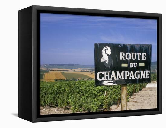 Route Du Champagne Sign, Near Epernay, Marne, Champagne Ardenne, France-Michael Busselle-Framed Stretched Canvas