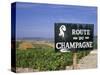 Route Du Champagne Sign, Near Epernay, Marne, Champagne Ardenne, France-Michael Busselle-Stretched Canvas