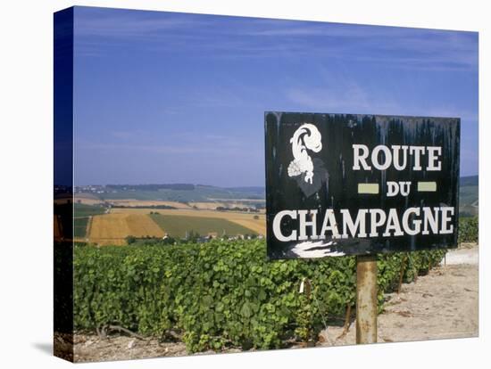 Route Du Champagne Sign, Near Epernay, Marne, Champagne Ardenne, France-Michael Busselle-Stretched Canvas