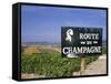 Route Du Champagne Sign, Near Epernay, Marne, Champagne Ardenne, France-Michael Busselle-Framed Stretched Canvas