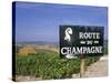 Route Du Champagne Sign, Near Epernay, Marne, Champagne Ardenne, France-Michael Busselle-Stretched Canvas