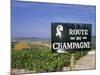 Route Du Champagne Sign, Near Epernay, Marne, Champagne Ardenne, France-Michael Busselle-Mounted Photographic Print