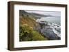 Route One along the Northern California coast. Undulating coastline with craggy rock and foliage.-Mallorie Ostrowitz-Framed Photographic Print