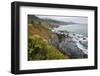 Route One along the Northern California coast. Undulating coastline with craggy rock and foliage.-Mallorie Ostrowitz-Framed Photographic Print