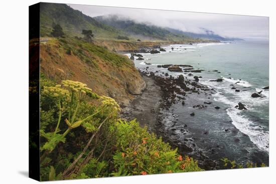 Route One along the Northern California coast. Undulating coastline with craggy rock and foliage.-Mallorie Ostrowitz-Stretched Canvas