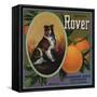 Rover Brand - Tustin, California - Citrus Crate Label-Lantern Press-Framed Stretched Canvas