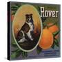 Rover Brand - Tustin, California - Citrus Crate Label-Lantern Press-Stretched Canvas